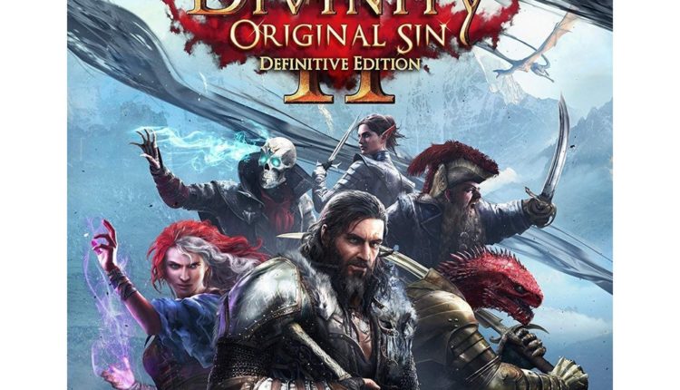 Divinity: Original Sin II